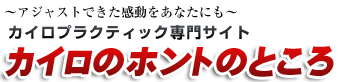 カイロのホントのところ